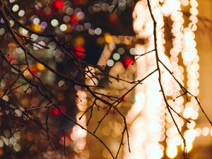 Preview wallpaper branches, blur, glare
