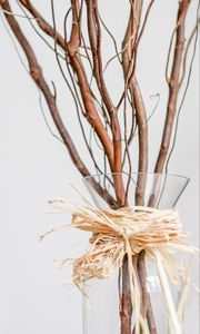 Preview wallpaper branches, bouquet, vase, decor, aesthetics, light