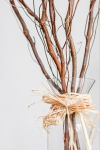 Preview wallpaper branches, bouquet, vase, decor, aesthetics, light