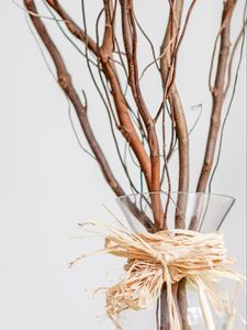 Preview wallpaper branches, bouquet, vase, decor, aesthetics, light