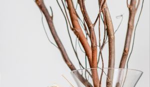 Preview wallpaper branches, bouquet, vase, decor, aesthetics, light