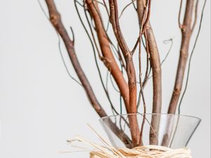 Preview wallpaper branches, bouquet, vase, decor, aesthetics, light