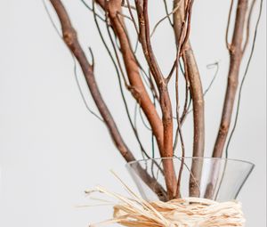Preview wallpaper branches, bouquet, vase, decor, aesthetics, light