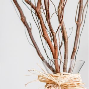Preview wallpaper branches, bouquet, vase, decor, aesthetics, light