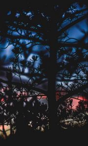 Preview wallpaper branches, bushes, blur, sunset, dark