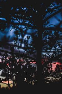 Preview wallpaper branches, bushes, blur, sunset, dark