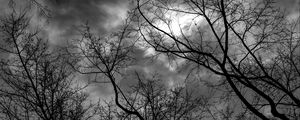 Preview wallpaper branches, bw, trees, sky, gloomy, clouds