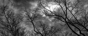 Preview wallpaper branches, bw, trees, sky, gloomy, clouds