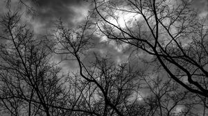 Preview wallpaper branches, bw, trees, sky, gloomy, clouds