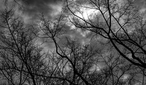 Preview wallpaper branches, bw, trees, sky, gloomy, clouds