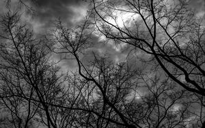Preview wallpaper branches, bw, trees, sky, gloomy, clouds