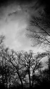 Preview wallpaper branches, bw, trees, clouds, dark, gloomy