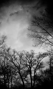 Preview wallpaper branches, bw, trees, clouds, dark, gloomy