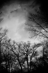 Preview wallpaper branches, bw, trees, clouds, dark, gloomy