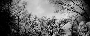 Preview wallpaper branches, bw, trees, clouds, dark, gloomy