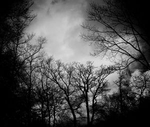 Preview wallpaper branches, bw, trees, clouds, dark, gloomy