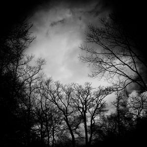 Preview wallpaper branches, bw, trees, clouds, dark, gloomy