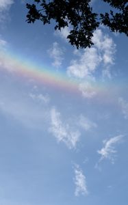 Preview wallpaper branches, clouds, rainbow, nature