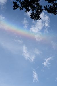 Preview wallpaper branches, clouds, rainbow, nature