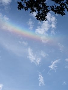 Preview wallpaper branches, clouds, rainbow, nature