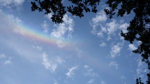 Preview wallpaper branches, clouds, rainbow, nature