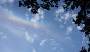 Preview wallpaper branches, clouds, rainbow, nature