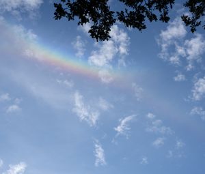Preview wallpaper branches, clouds, rainbow, nature