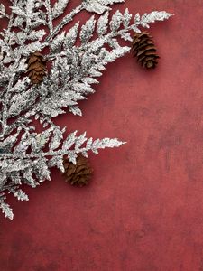 Preview wallpaper branches, cones, background, new year, christmas, red