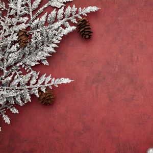 Preview wallpaper branches, cones, background, new year, christmas, red