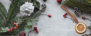 Preview wallpaper branches, cones, berries, christmas, new year