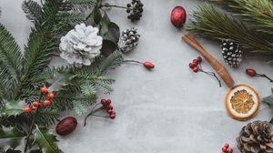 Preview wallpaper branches, cones, berries, christmas, new year