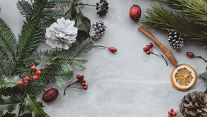 Preview wallpaper branches, cones, berries, christmas, new year