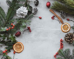Preview wallpaper branches, cones, berries, christmas, new year