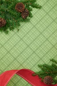 Preview wallpaper branches, cones, ribbons, new year, christmas