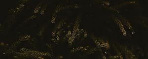 Preview wallpaper branches, dark, needles, tree, green