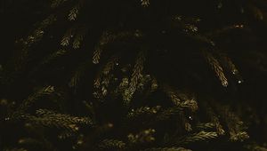 Preview wallpaper branches, dark, needles, tree, green