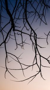 Preview wallpaper branches, dark, sky