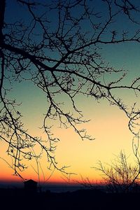 Preview wallpaper branches, decline, evening, orange