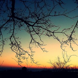 Preview wallpaper branches, decline, evening, orange