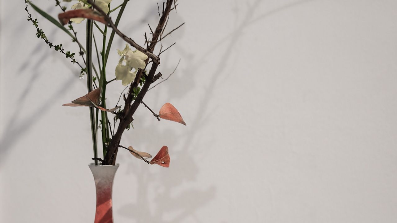 Wallpaper branches, flowers, vase, herbarium, aesthetics