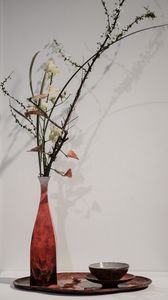 Preview wallpaper branches, flowers, vase, herbarium, aesthetics