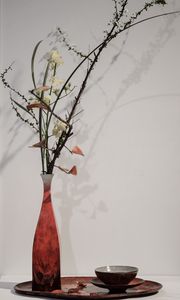 Preview wallpaper branches, flowers, vase, herbarium, aesthetics