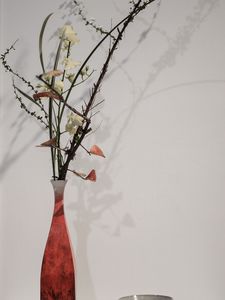 Preview wallpaper branches, flowers, vase, herbarium, aesthetics