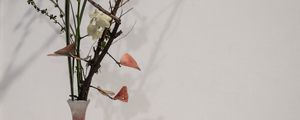 Preview wallpaper branches, flowers, vase, herbarium, aesthetics