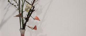 Preview wallpaper branches, flowers, vase, herbarium, aesthetics
