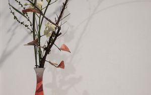 Preview wallpaper branches, flowers, vase, herbarium, aesthetics