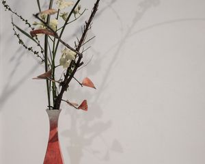 Preview wallpaper branches, flowers, vase, herbarium, aesthetics