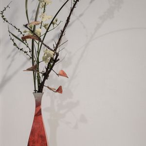 Preview wallpaper branches, flowers, vase, herbarium, aesthetics