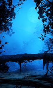 Preview wallpaper branches, fog, art, leaves, moon