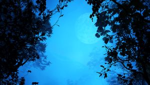 Preview wallpaper branches, fog, art, leaves, moon